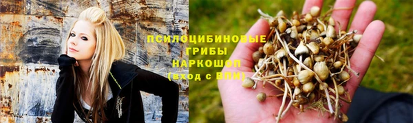мяу мяу мука Волоколамск